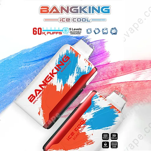Jednorázový vaporizér Bang King Ice Cool , 60 000 potáhnutí, fotografie 5