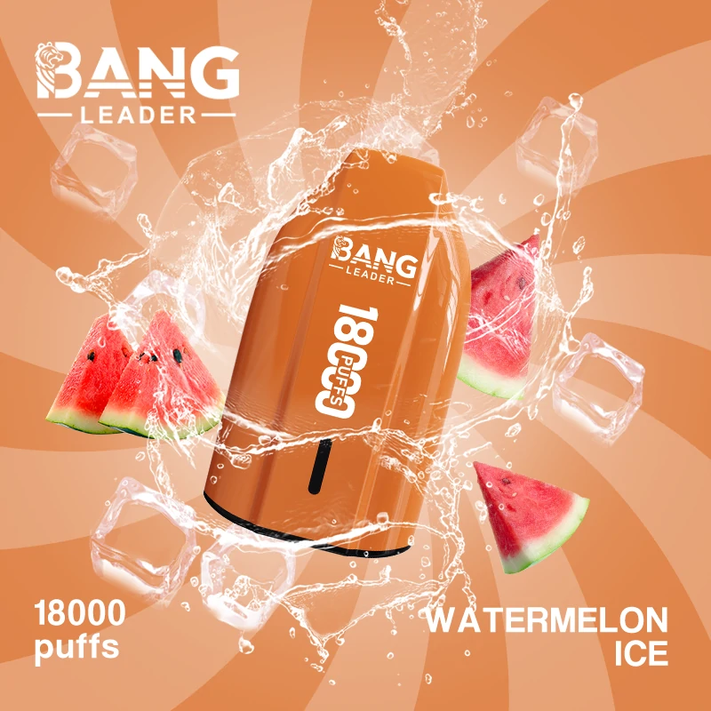 Bang Leader 18000 Puffs Disposable Vape, photo 4