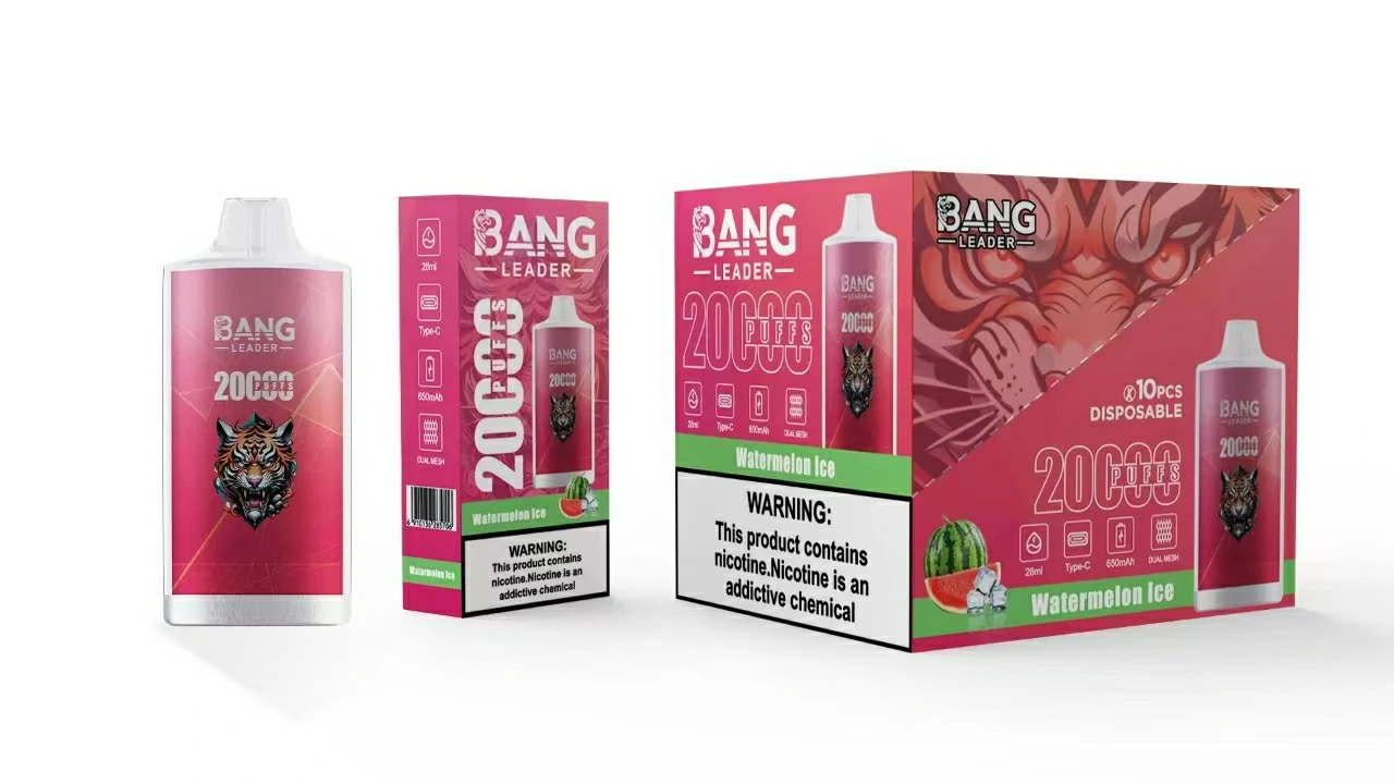 Bang Leader 20000 Puffs Disposable Vape, photo 4