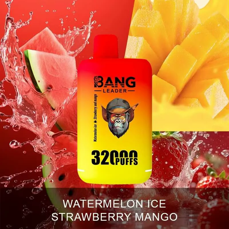 Bang Leader 32000 Puffs 2-in-1 Disposable Vape, photo 6