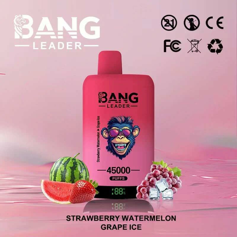 Bang Leader 45000 Puffs 2-in-1 Disposable Vape, photo 2
