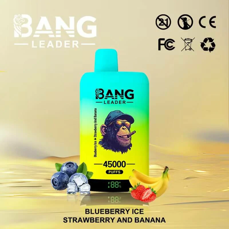 Bang Leader 45000 Puffs 2-in-1 Disposable Vape, photo 3
