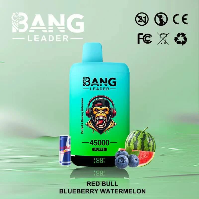 Bang Leader 45000 Puffs 2-in-1 Disposable Vape, photo 4