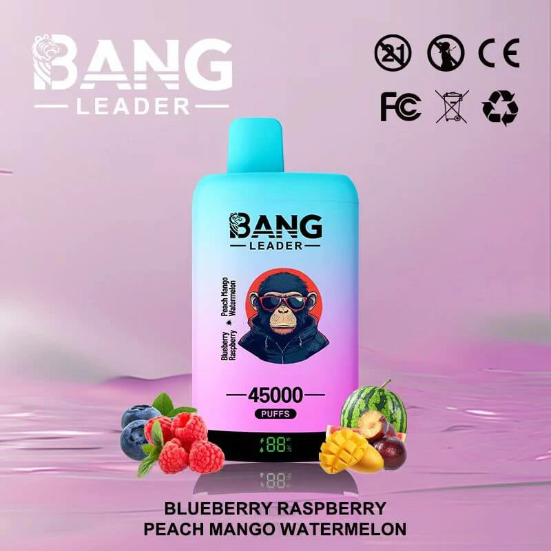 Bang Leader 45000 Puffs 2-in-1 Disposable Vape, photo 5