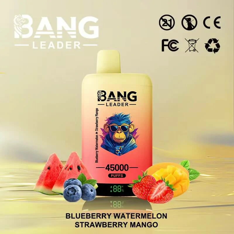 Bang Leader 45000 Puffs 2-in-1 Disposable Vape, photo 6