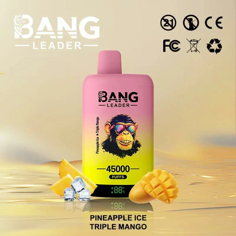 Bang Leader 45000 Puffs 2-in-1 Disposable Vape, photo 7