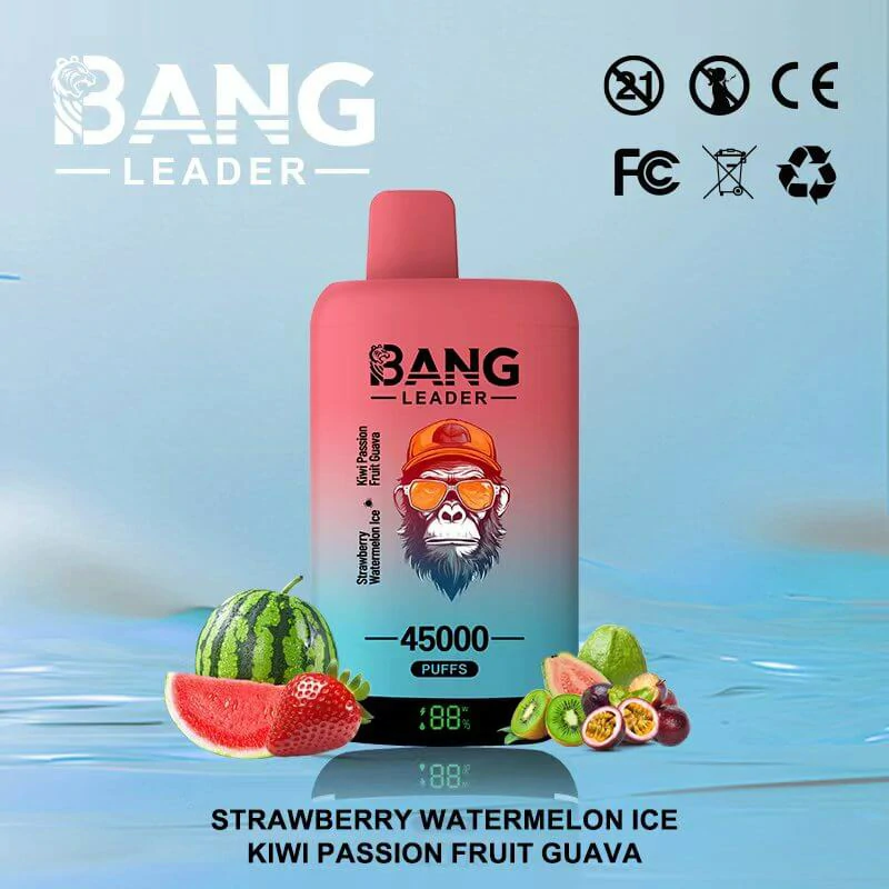 Bang Leader 45000 Puffs 2-in-1 Disposable Vape, photo 8