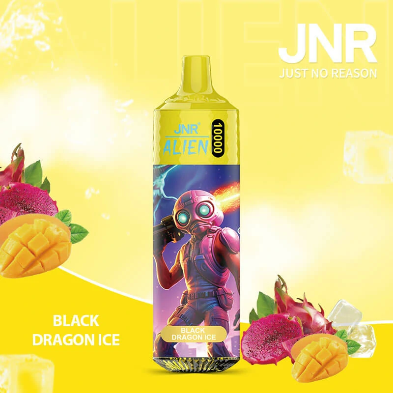 JNR 10000 Puffs Disposable Vape, photo 11