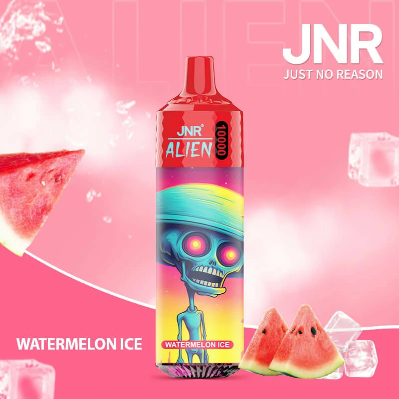 JNR 10000 Puffs Disposable Vape, photo 2